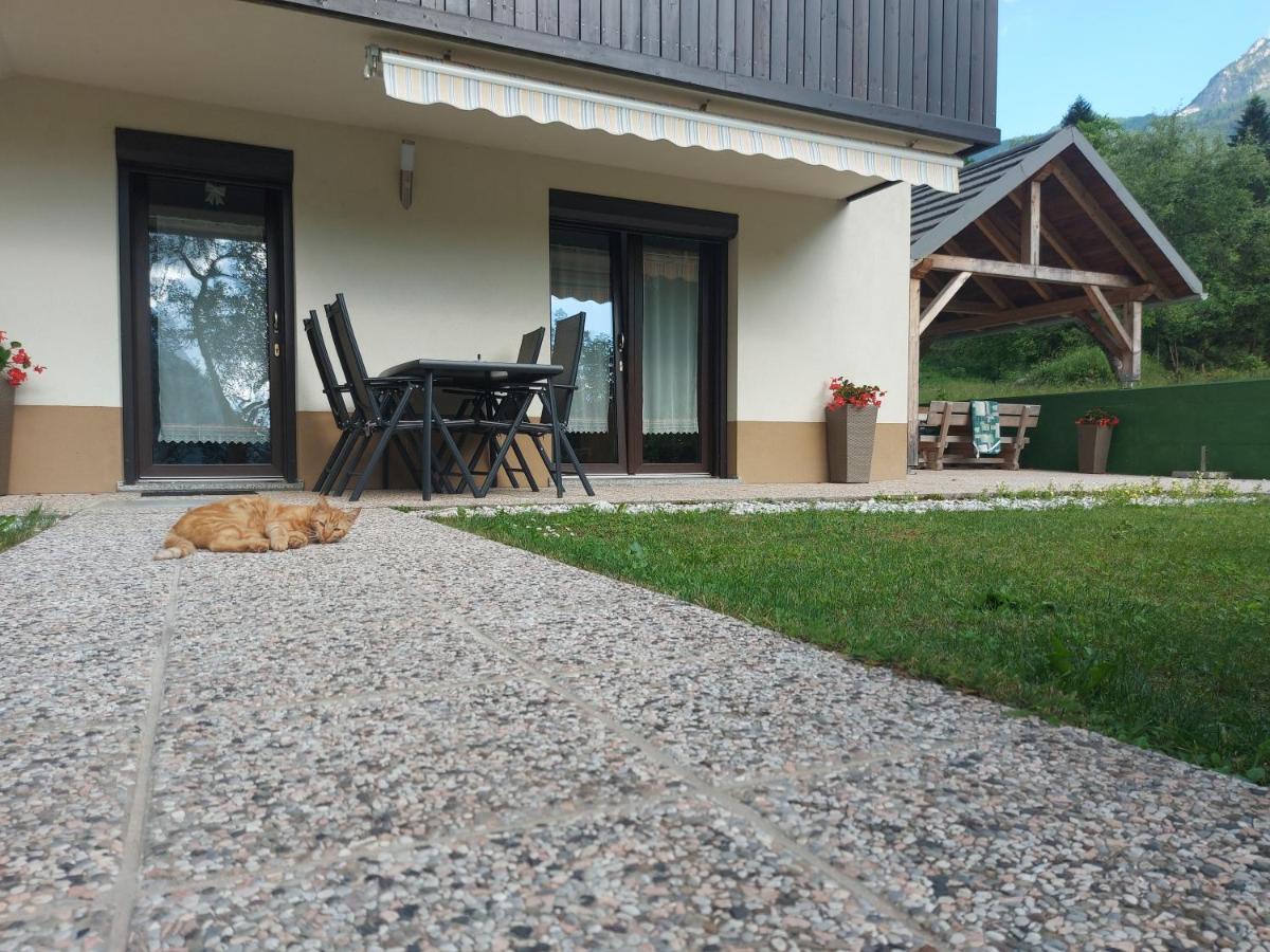 Apartmaji Katrc Соча Экстерьер фото